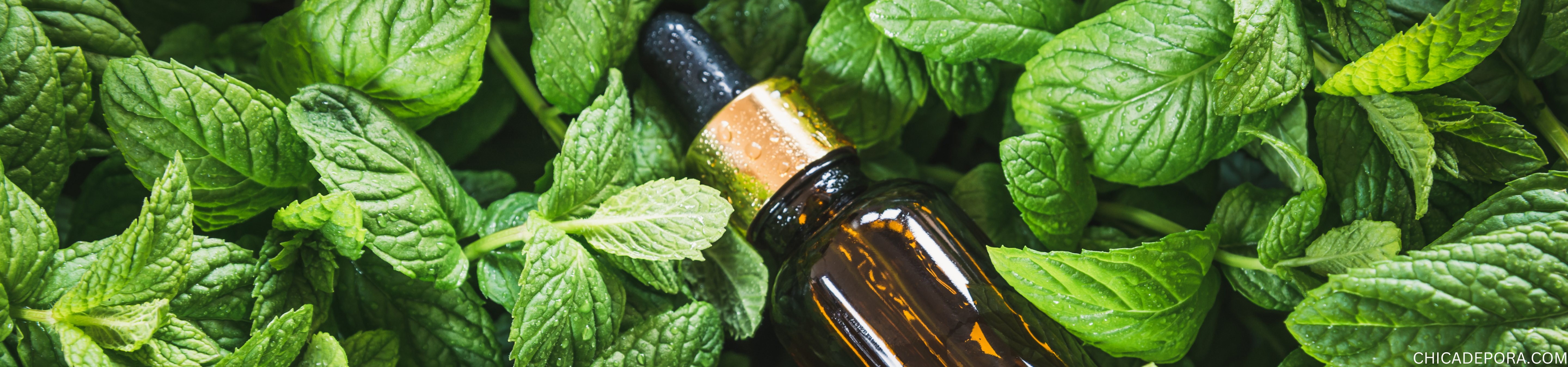 Power of Peppermint Oil for Hair Health