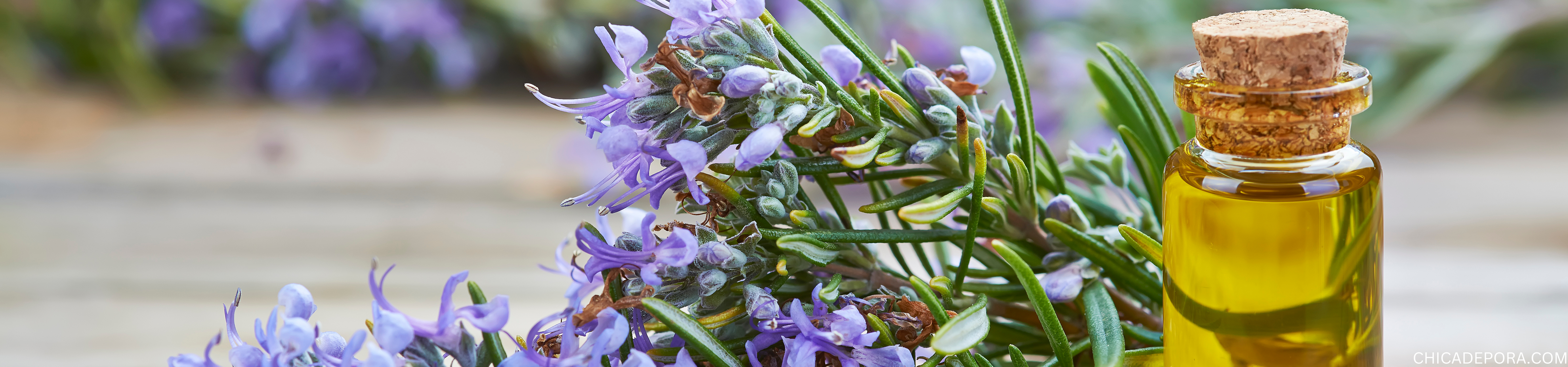 DIY Rosemary Oil for Hair